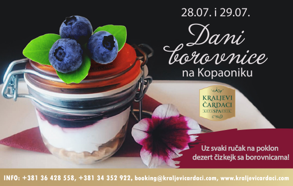 Dani Borovnica KC