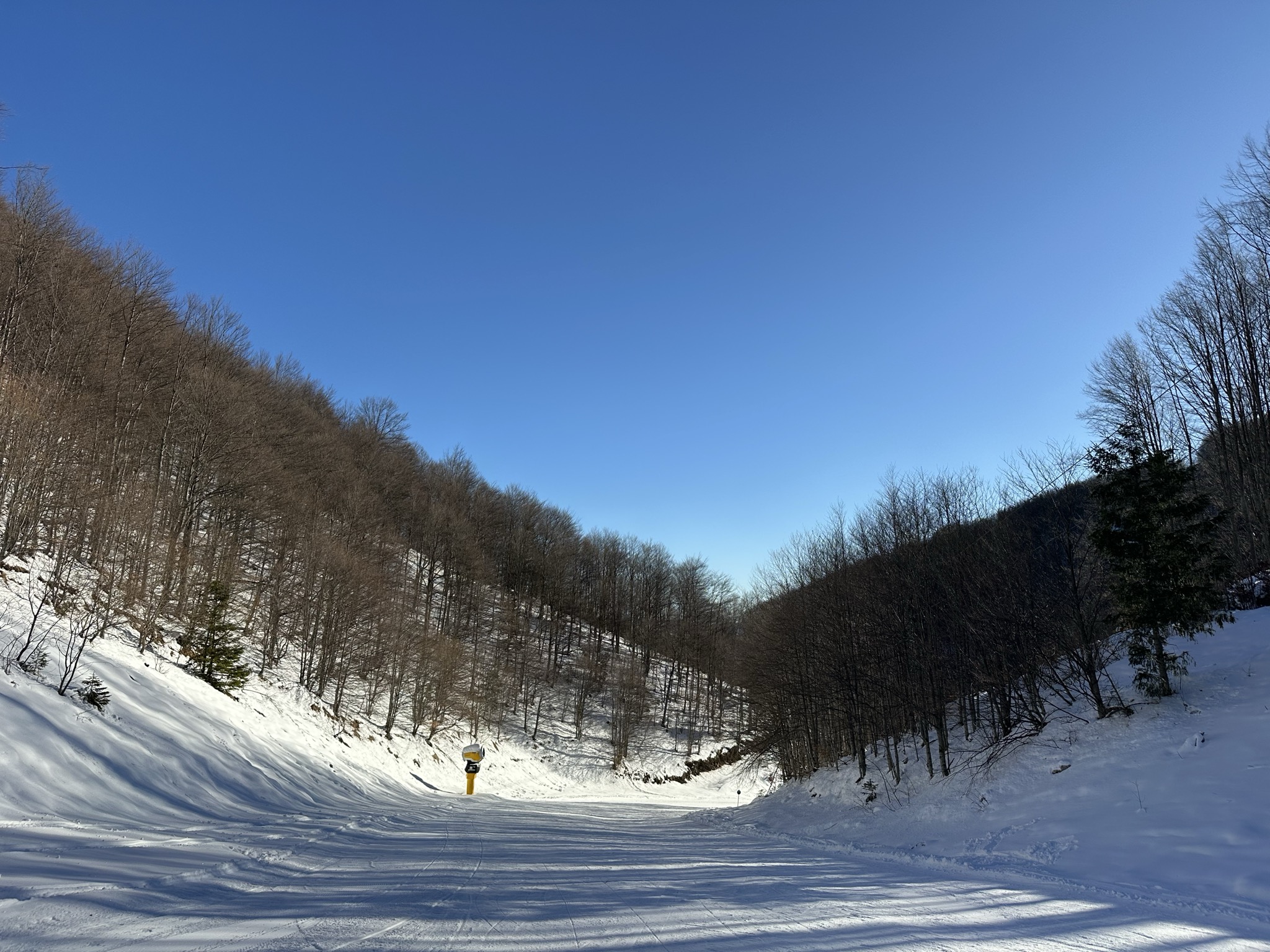 Kopaonik - infoKOP - Staza Bela reka 1 i žičara Treska na Kopaoniku od ...