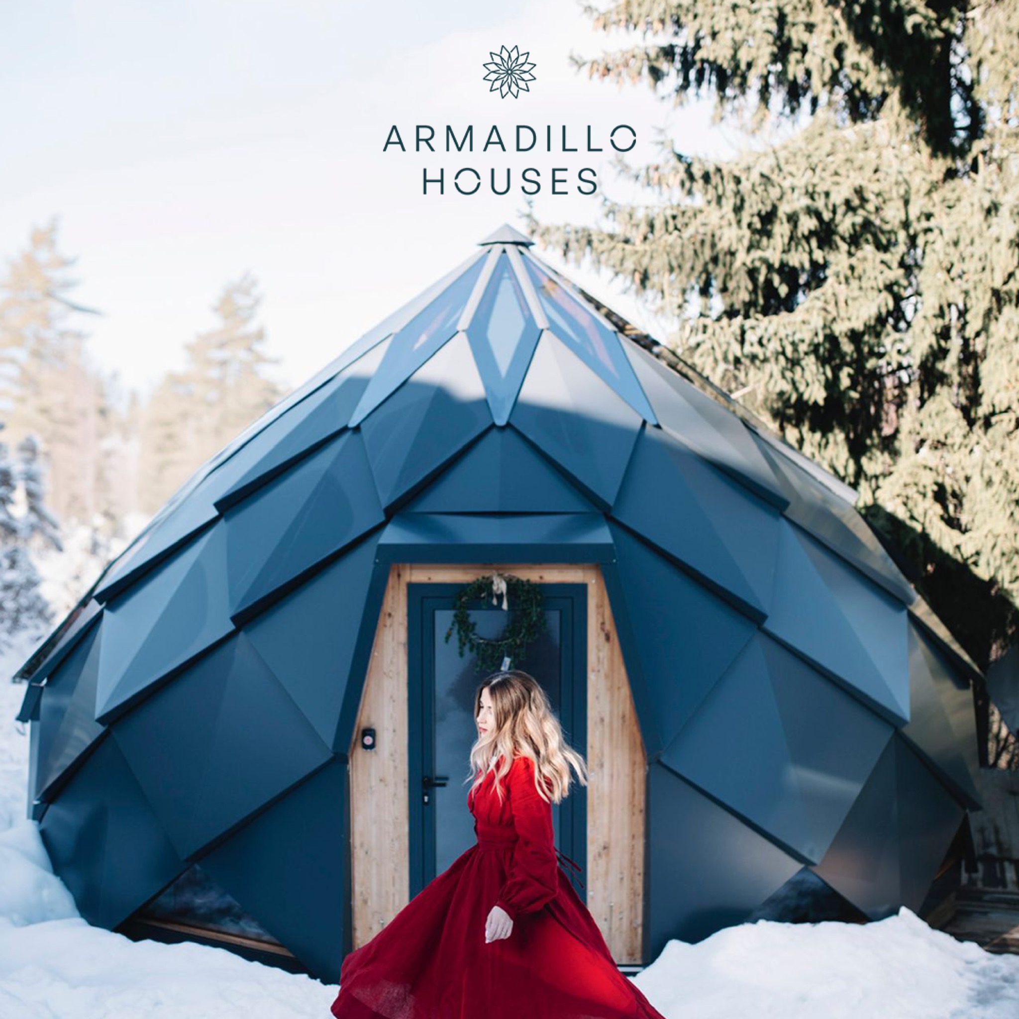 armadillo