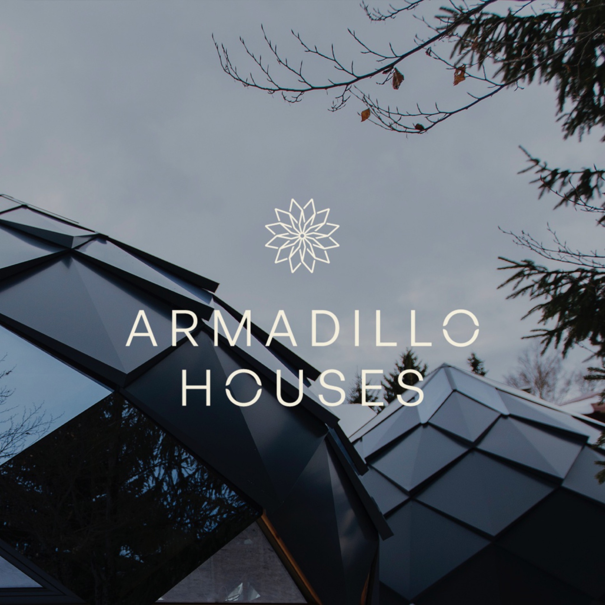 armadillo_1080x1080_logo.jpg