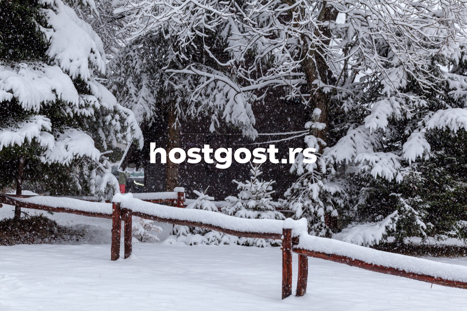 host_gost_lm_sneg.jpg