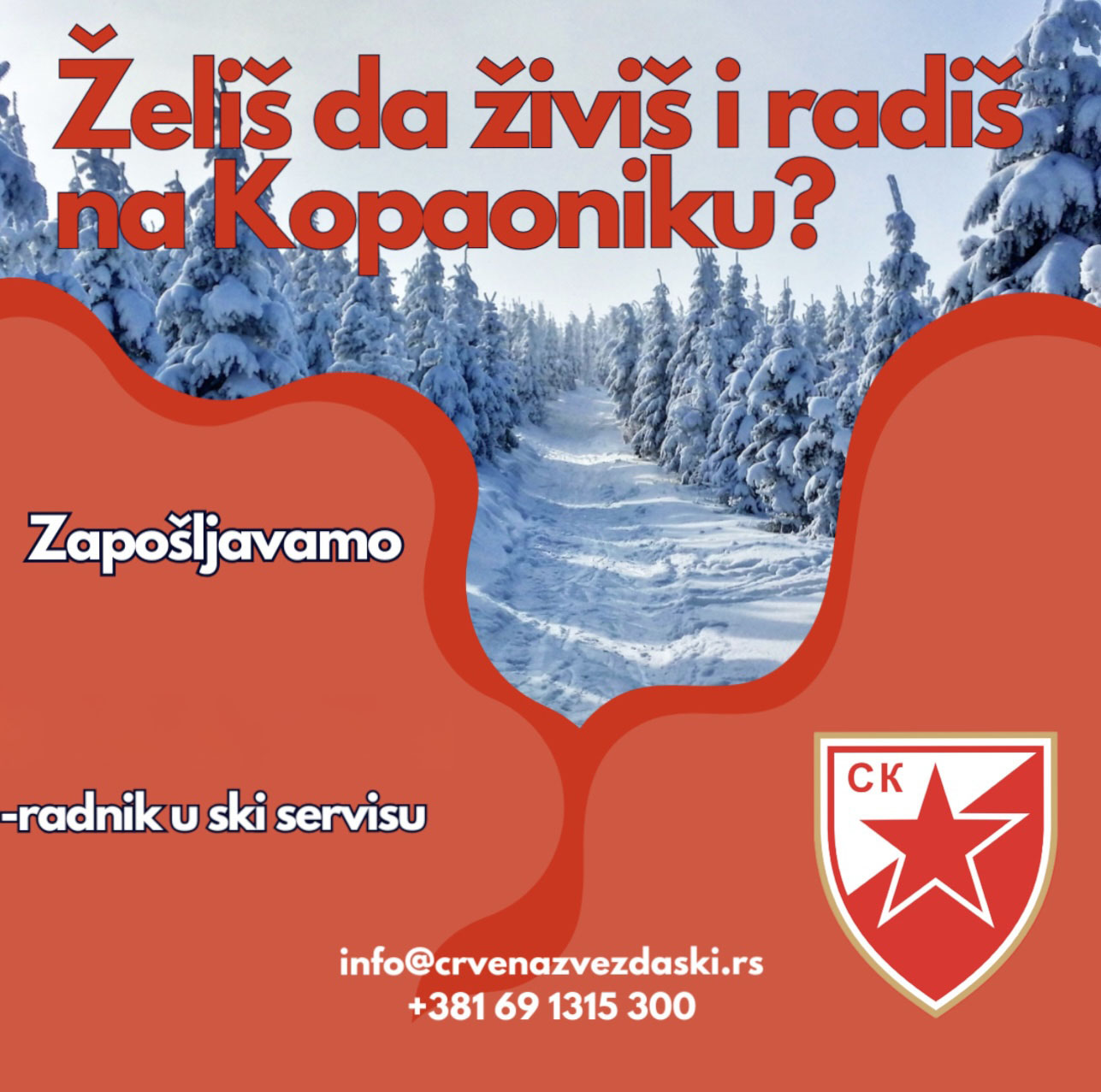 zvezda_prodavac_posao.jpg