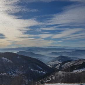Pogled