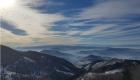 Pogled