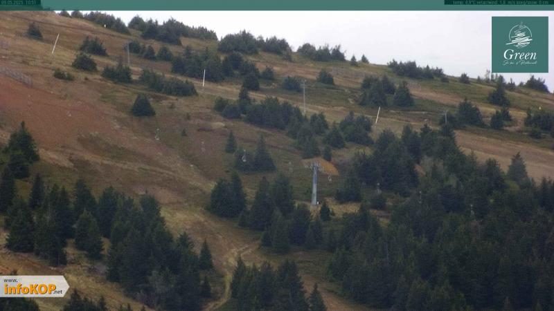 Web Green Ski Bar & Restaurant | 1890 mnv
