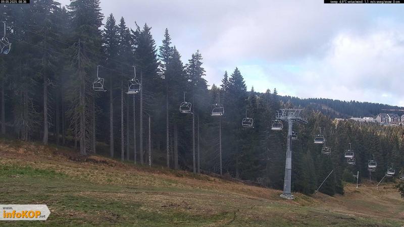 Web Kamera Skituljko | 1.794m