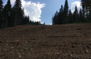 Radovi Krst