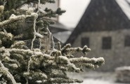 Sneg na Kopaoniku
