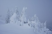 Na Kopaoniku sneg dostigao visinu od 82cm