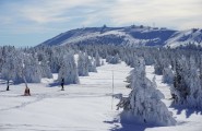 Sunčan dan na Kopaoniku