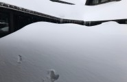 22cm novog snega