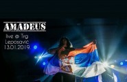 Koncert amadeus bend