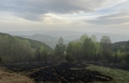 Požar Kopaonik