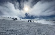 Treska